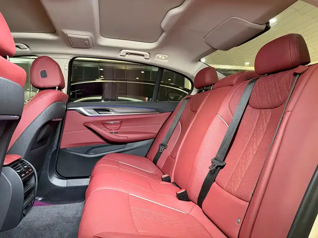 BMW 5 Series 2021 из CN, фото 10