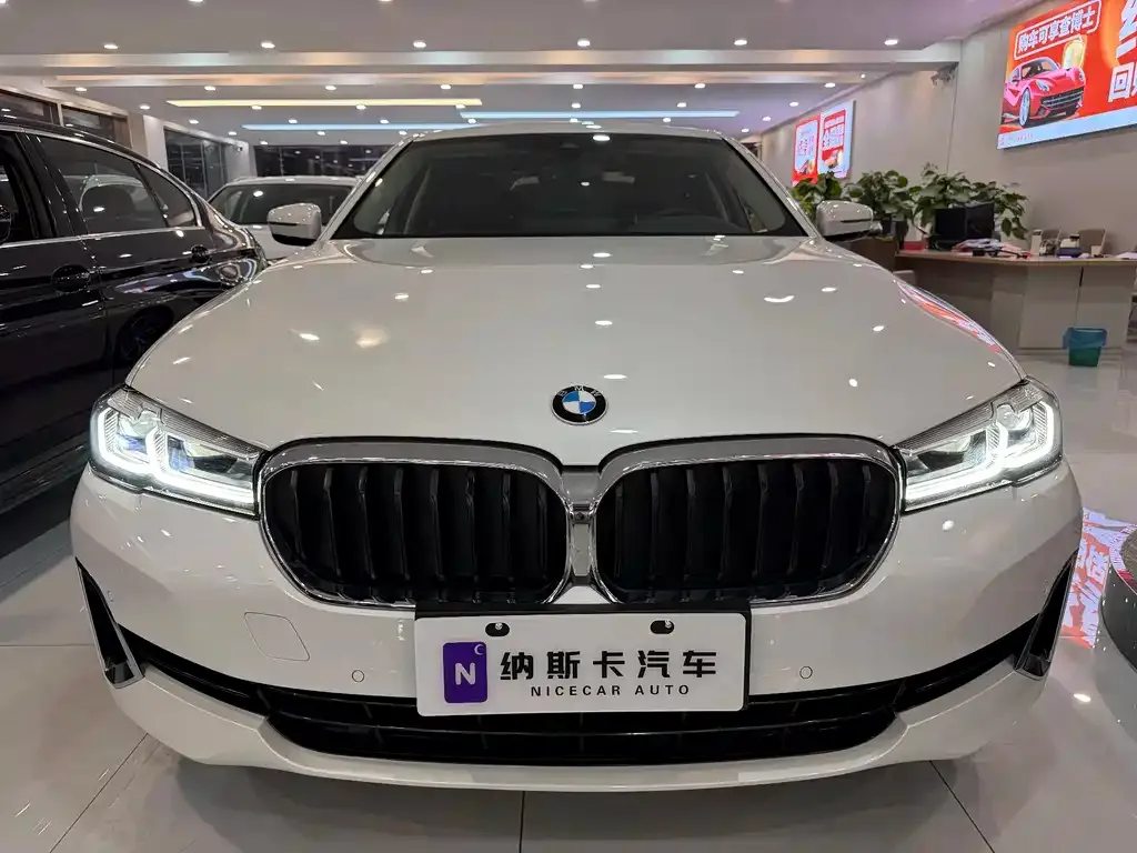 BMW 5 Series 2021 из CN, фото 6