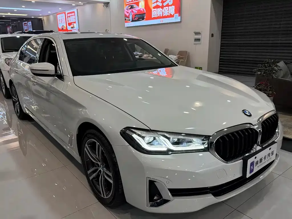 BMW 5 Series 2021 из CN, фото 7