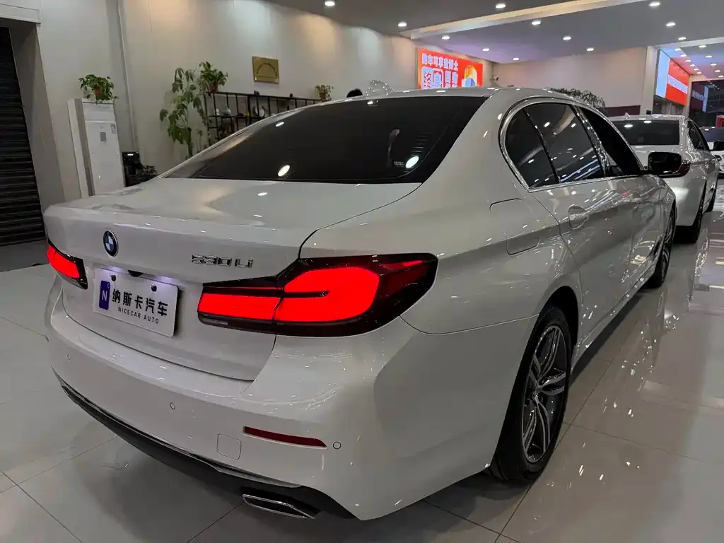 BMW 5 Series 2021 из CN, фото 2