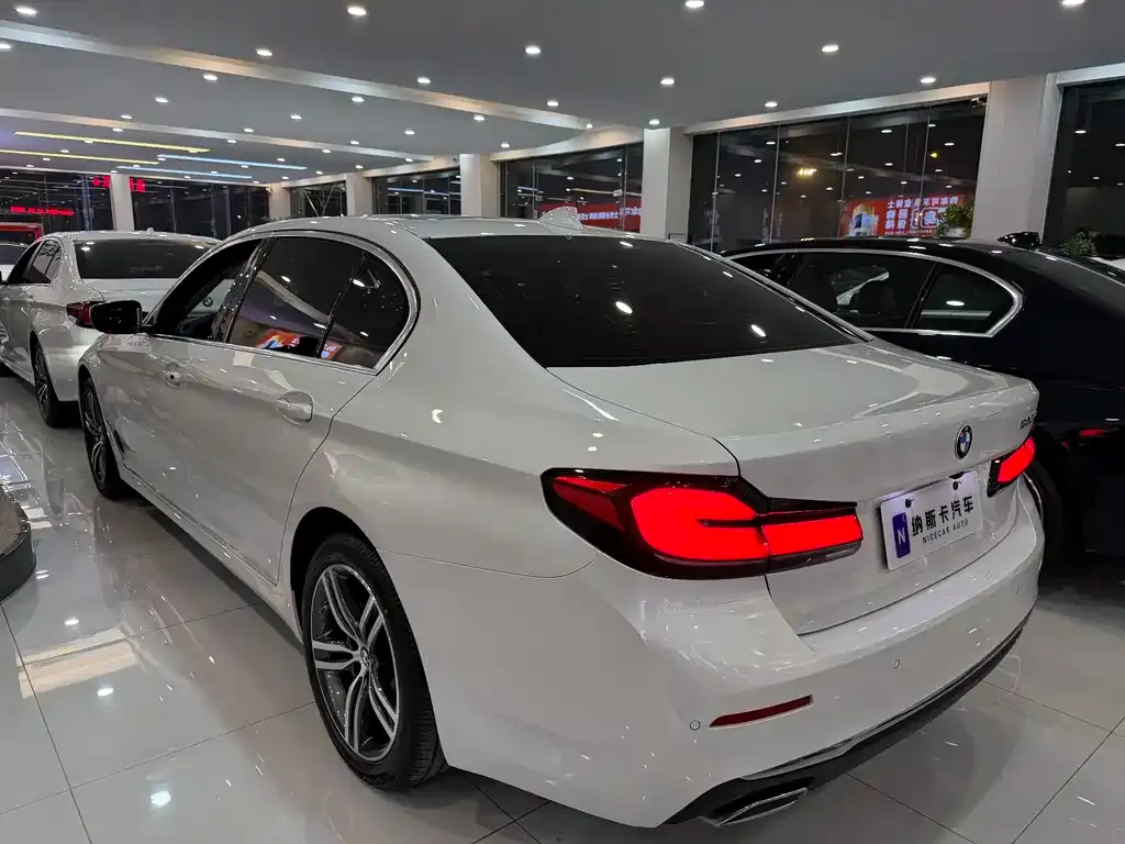 BMW 5 Series 2021 из CN, фото 4