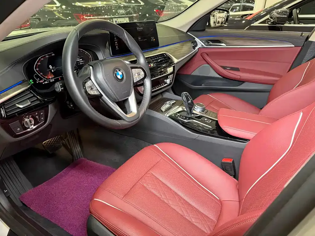 BMW 5 Series 2021 из CN, фото 5