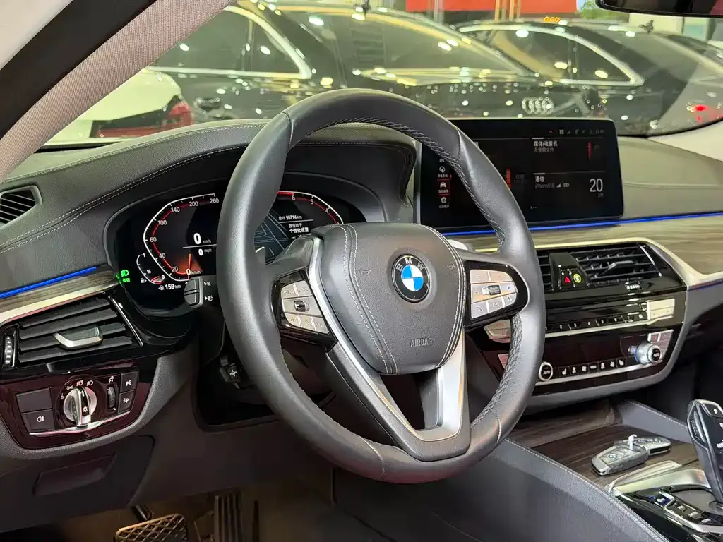 BMW 5 Series 2021 из CN, фото 9