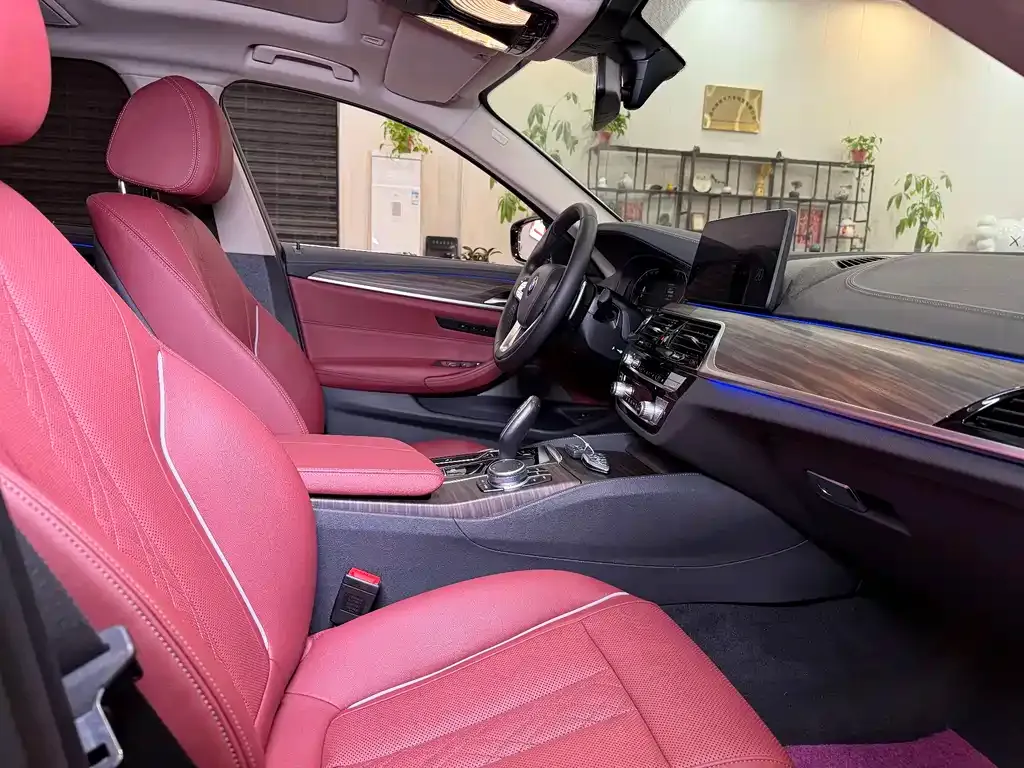 BMW 5 Series 2021 из CN, фото 8