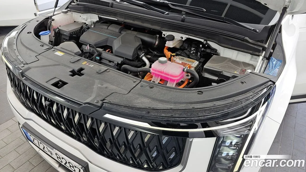 Kia Carnival — фото 10