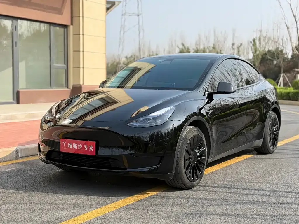 Tesla Model Y — фото 1