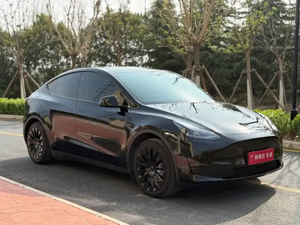 Tesla Model Y — фото 9
