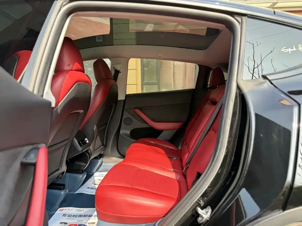 Tesla Model Y — фото 2