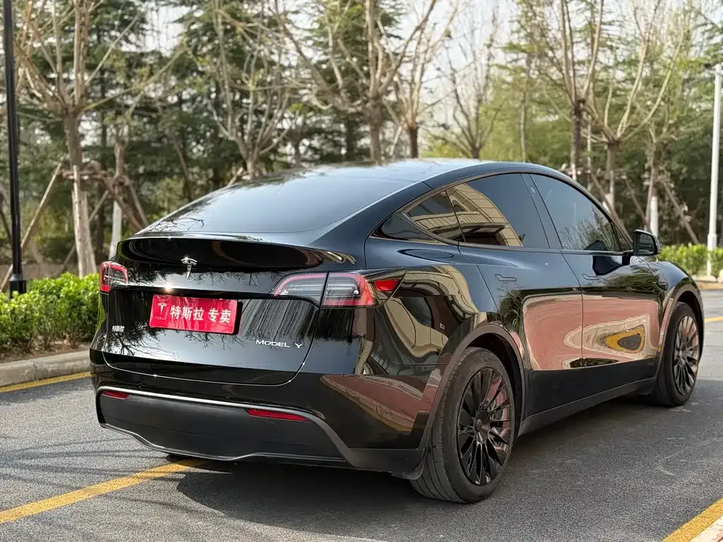 Tesla Model Y — фото 4