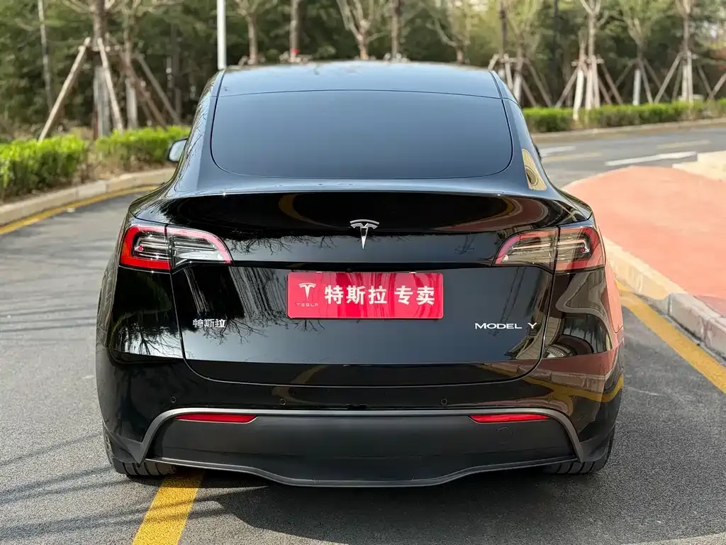 Tesla Model Y — фото 8