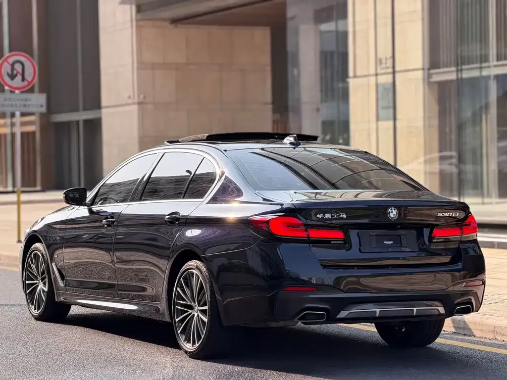 BMW 5 Series 2023 из CN, фото 10