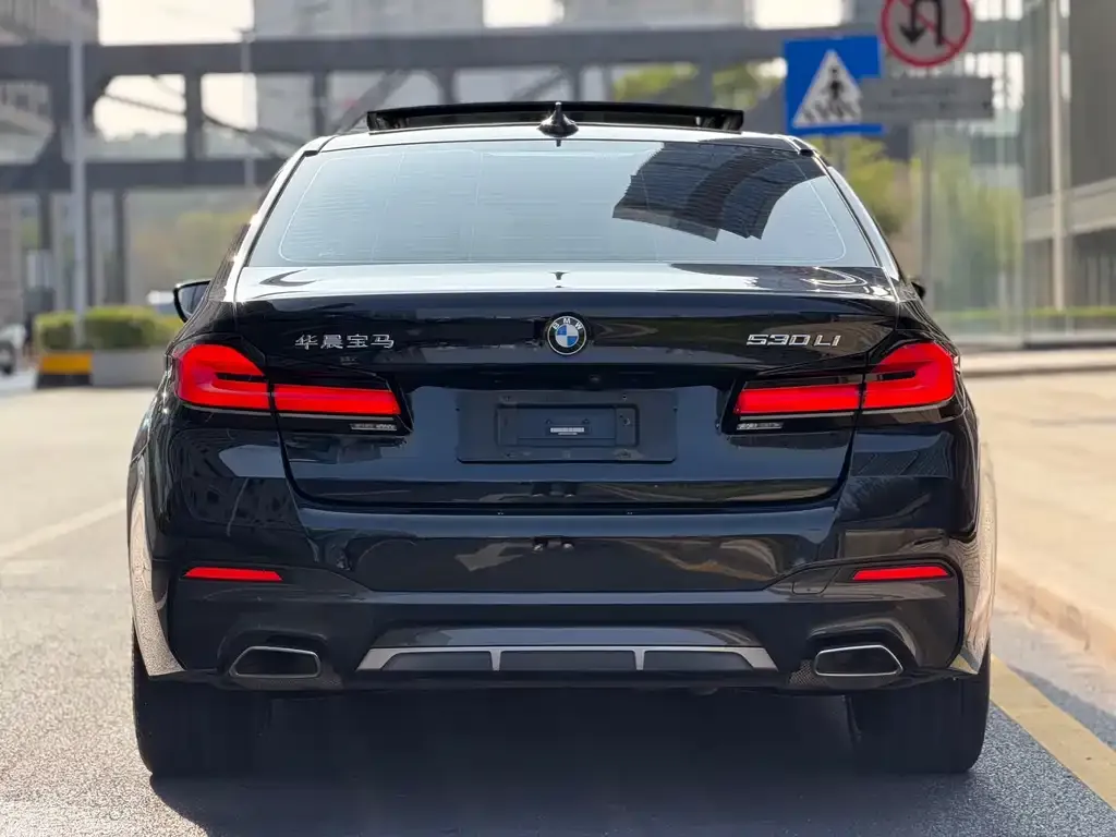 BMW 5 Series 2023 из CN, фото 4