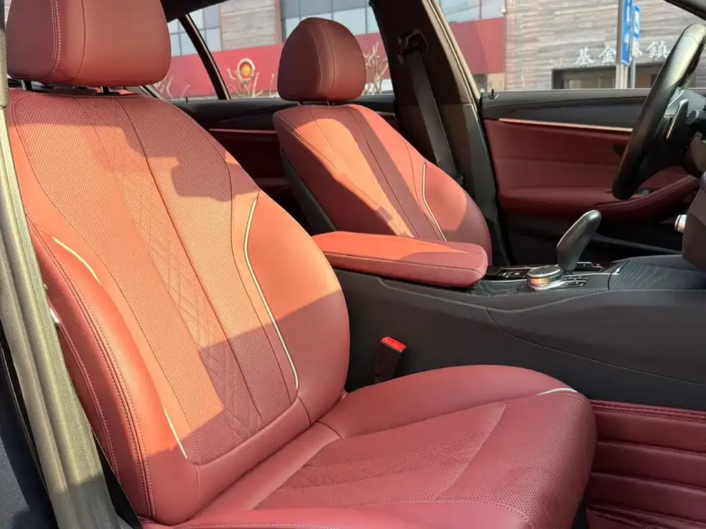 BMW 5 Series 2023 из CN, фото 6