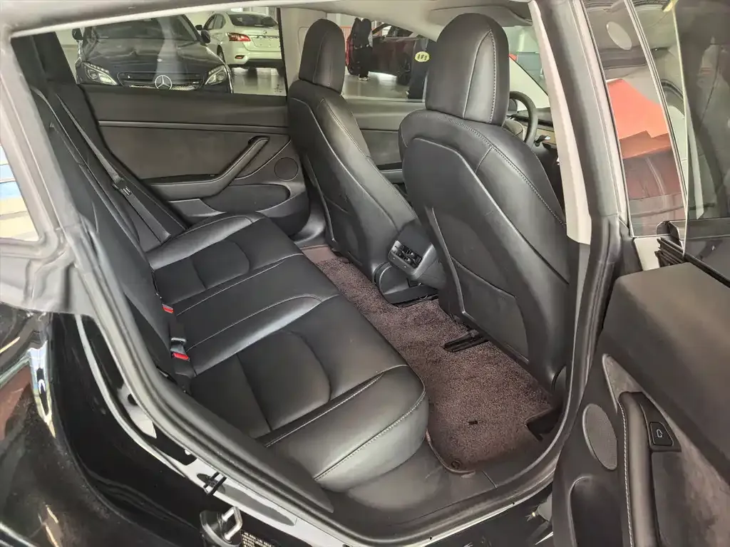 Tesla Model 3 2021 из CN, фото 7