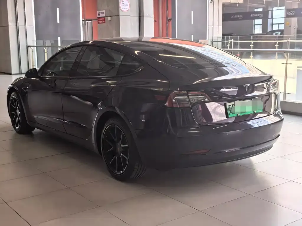 Tesla Model 3 2021 из CN, фото 3