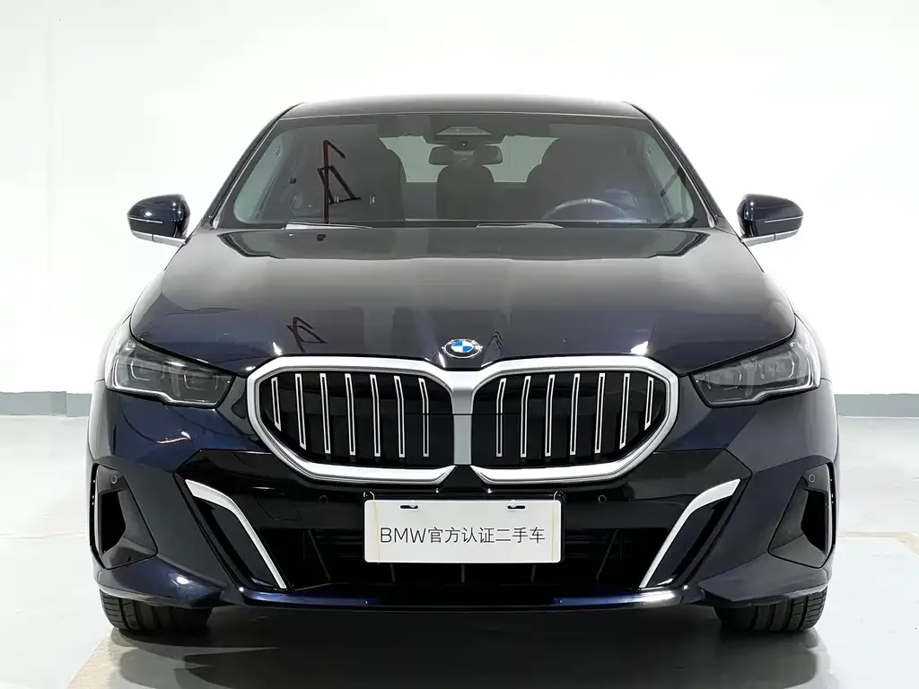 BMW 5 Series 2024 из CN, фото 5