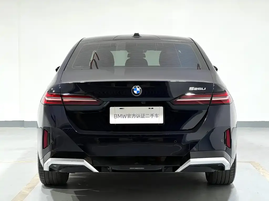 BMW 5 Series 2024 из CN, фото 7