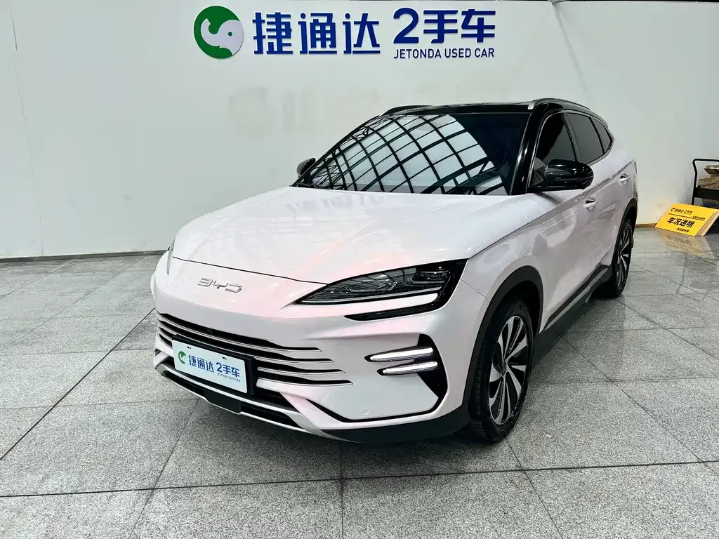 BYD PLUS New Energy 2024 из CN, фото 1