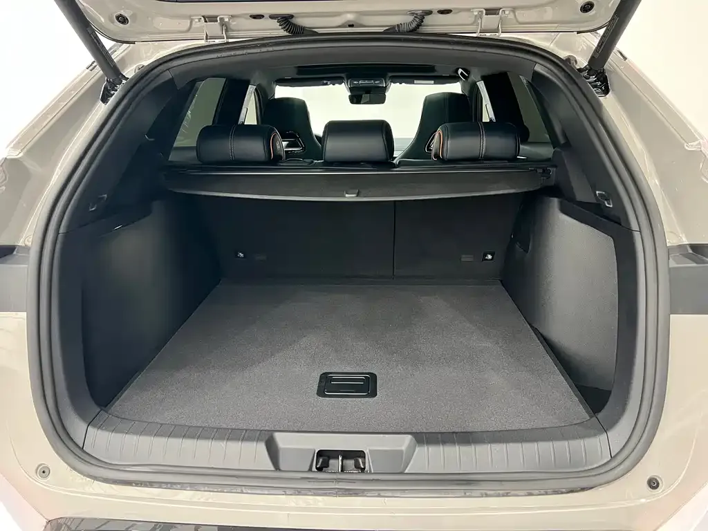 BYD PLUS New Energy 2024 из CN, фото 3