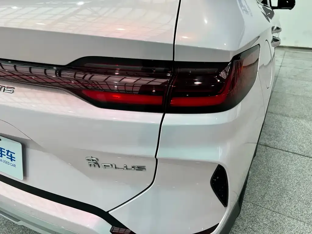 BYD PLUS New Energy 2024 из CN, фото 4