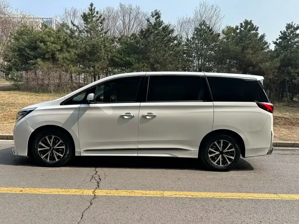 GAC Motor Trumpchi M8 2023 из CN, фото 5