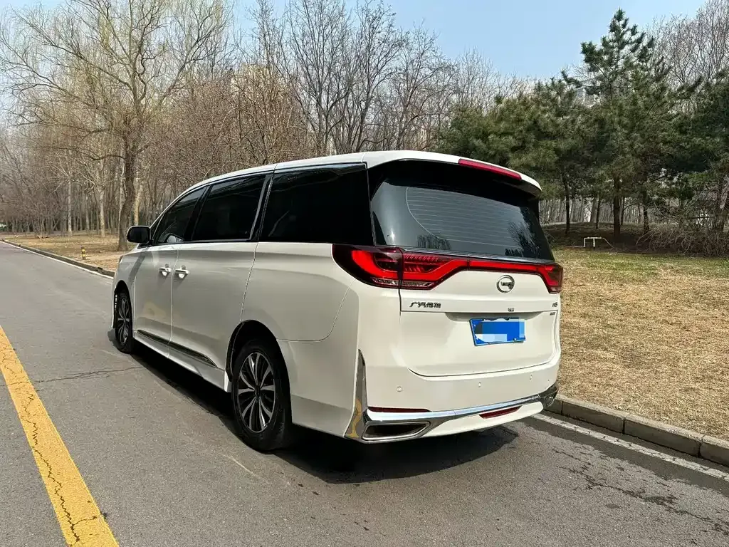 GAC Motor Trumpchi M8 2023 из CN, фото 8