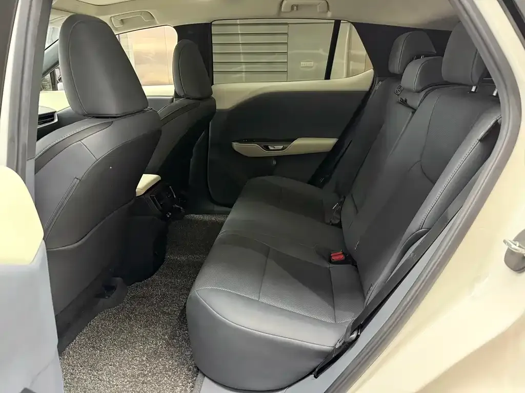 Lexus RZ 2023 из CN, фото 9