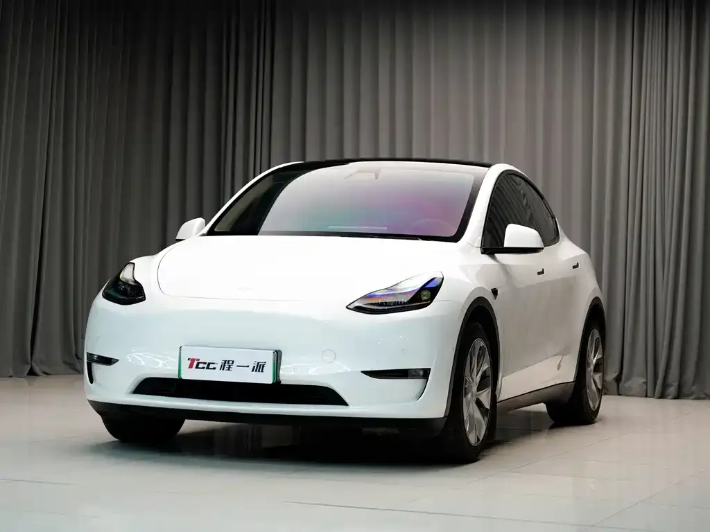 Tesla Model Y 2022 из CN, фото 1