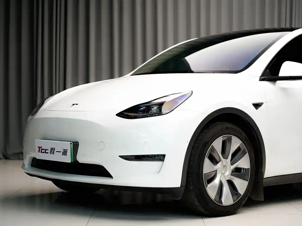 Tesla Model Y 2022 из CN, фото 8