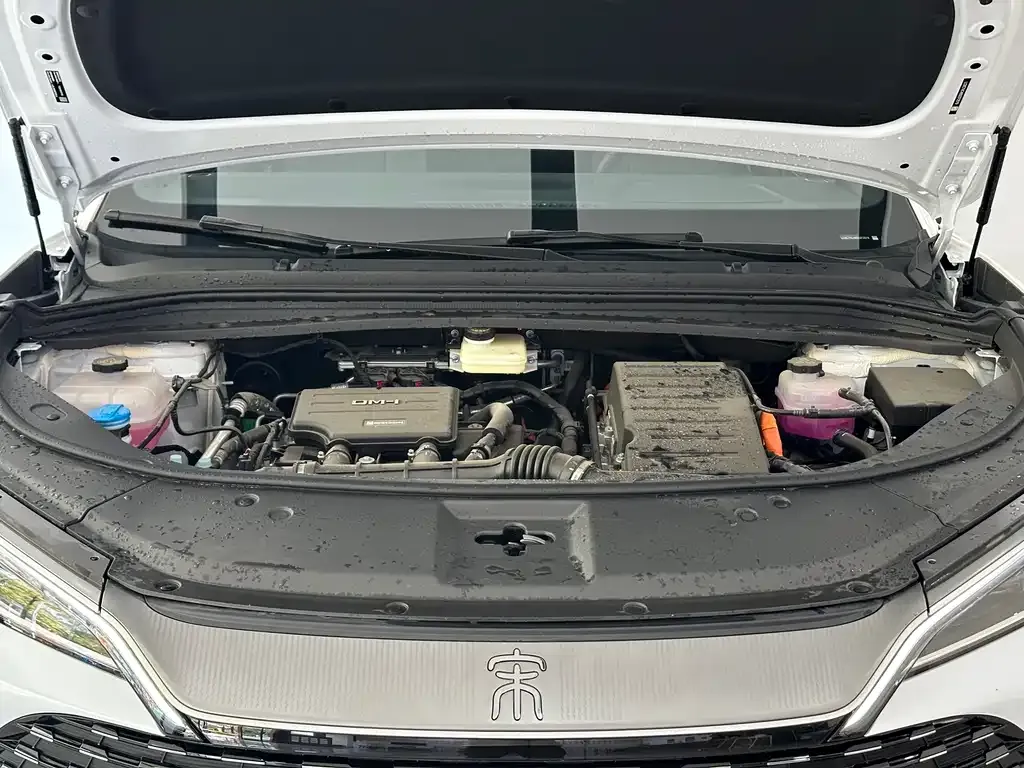 BYD L DM-i — фото 6