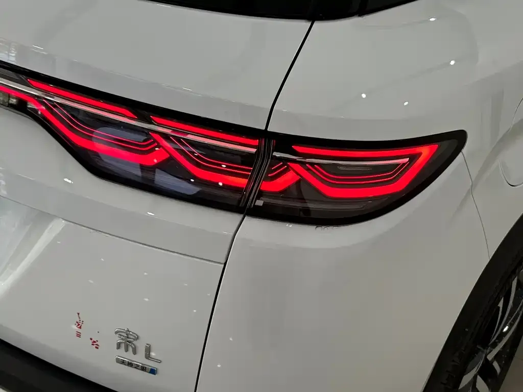 BYD L DM-i — фото 3