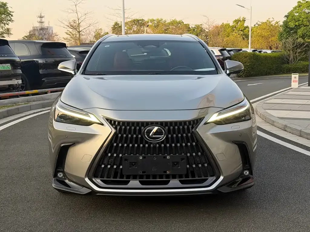 Lexus NX New Energy — фото 8