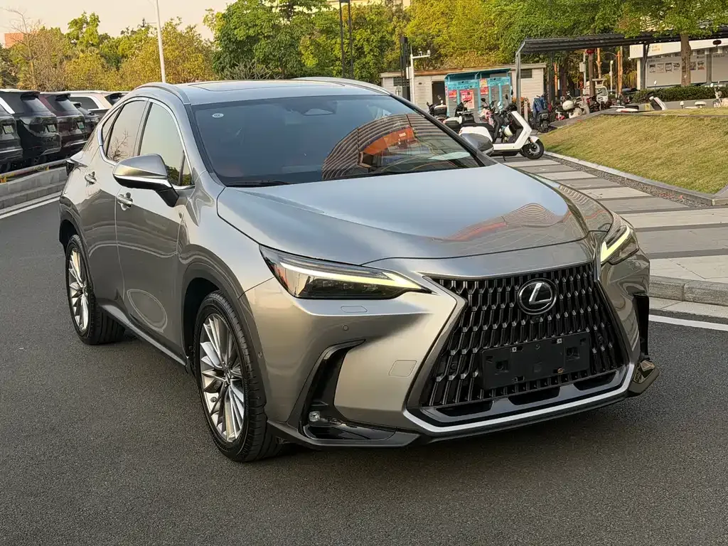 Lexus NX New Energy — фото 9