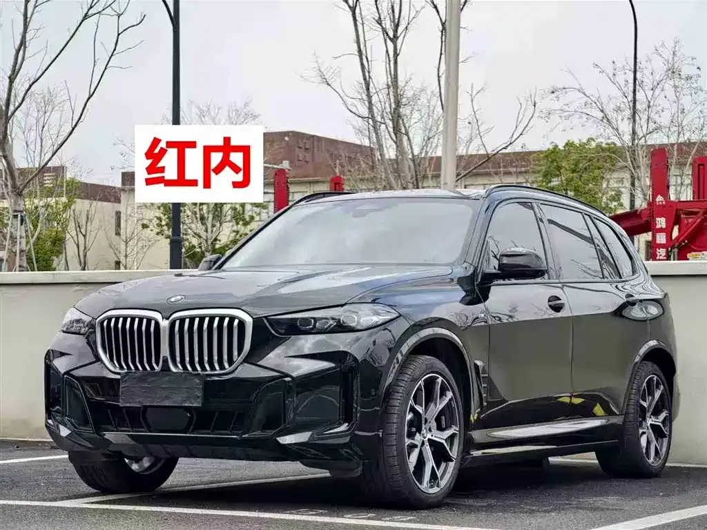 BMW X5 2024 из CN, фото 5