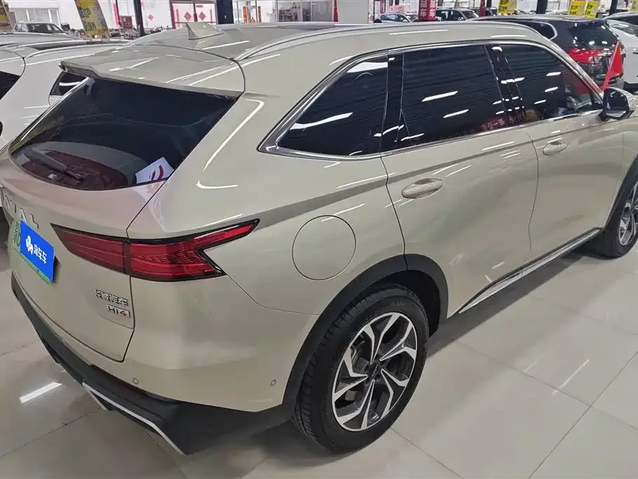 Haval Xiaolong MAX 2023 из CN, фото 7