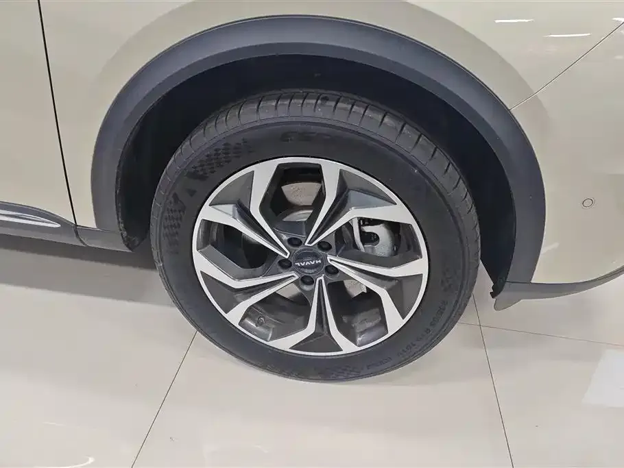 Haval Xiaolong MAX 2023 из CN, фото 9