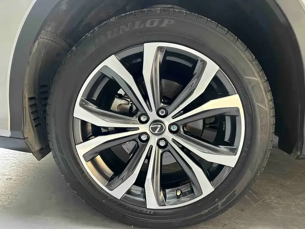 Lexus RX 2021 из CN, фото 10