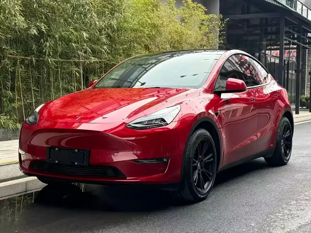 Tesla Model Y — фото 1