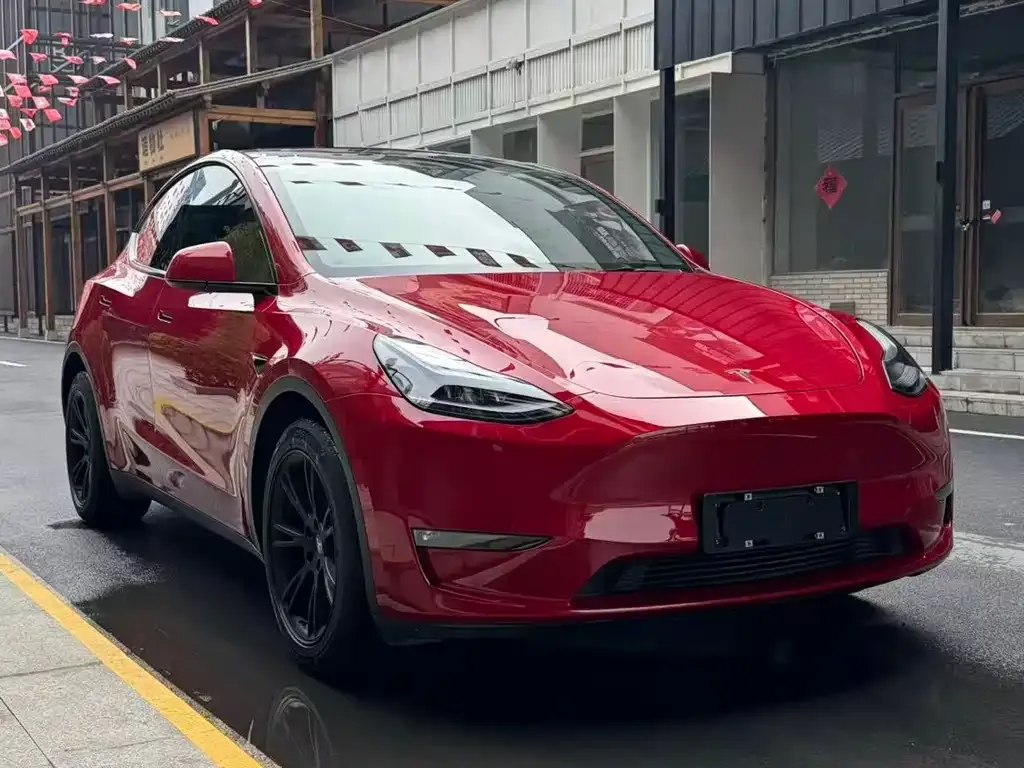 Tesla Model Y — фото 2
