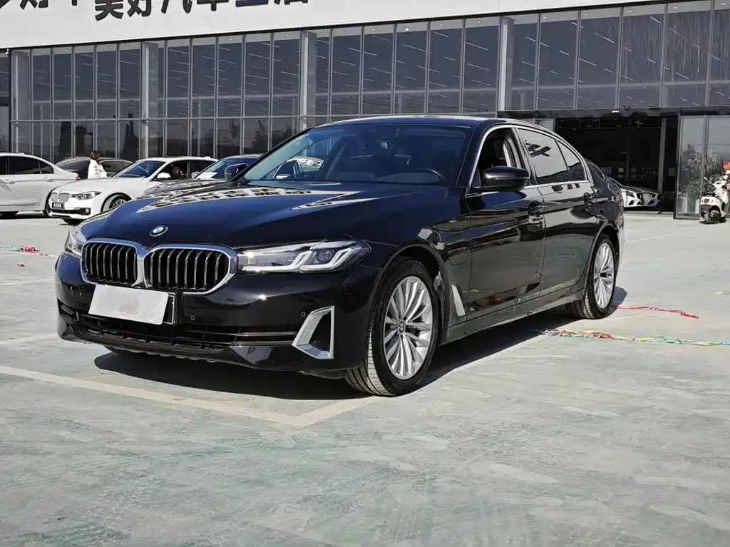 BMW 5 Series New Energy 2021 из CN, фото 1