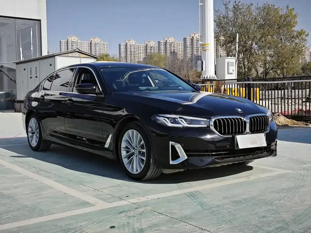 BMW 5 Series New Energy 2021 из CN, фото 6