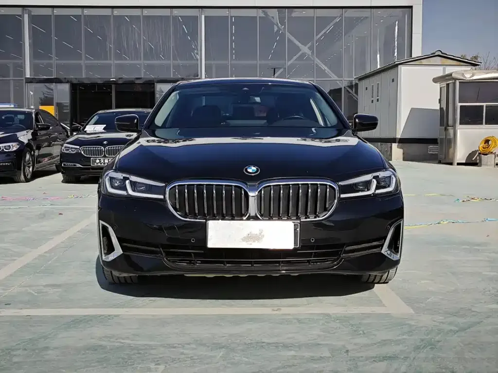 BMW 5 Series New Energy 2021 из CN, фото 5