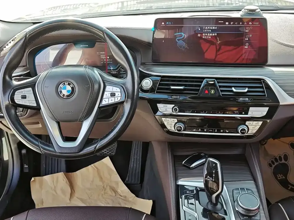 BMW 5 Series New Energy 2021 из CN, фото 7