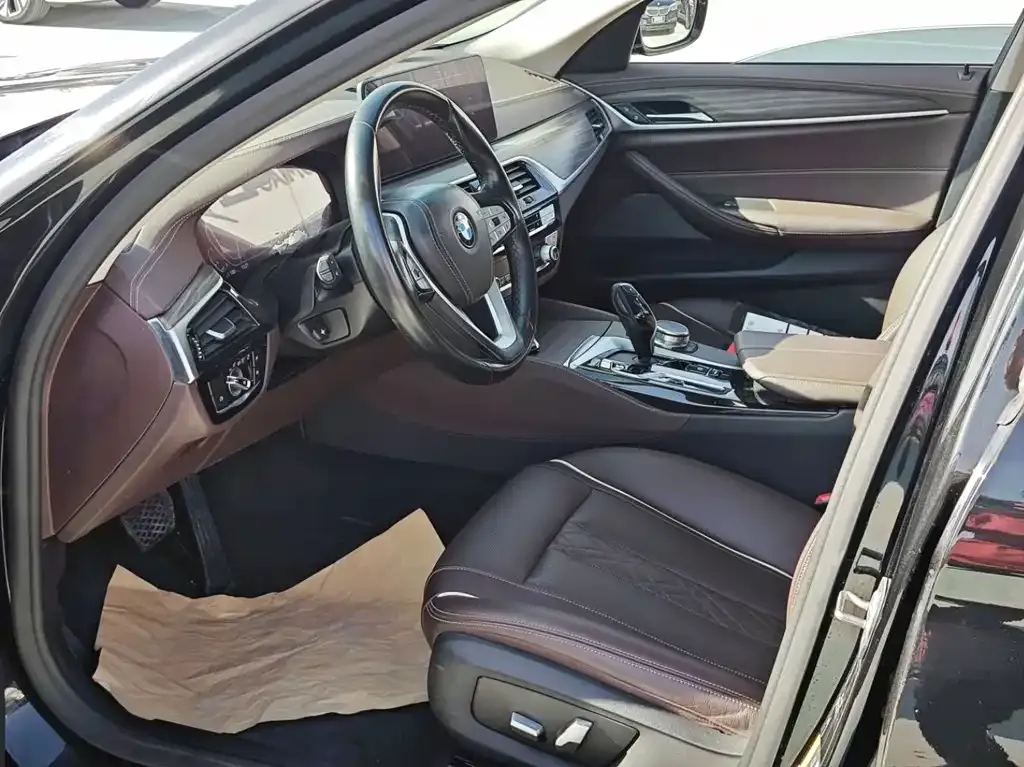 BMW 5 Series New Energy 2021 из CN, фото 4