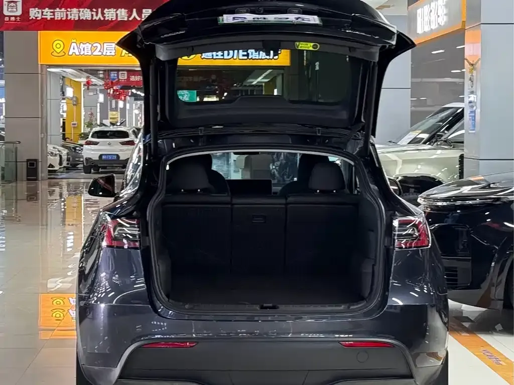 Tesla Model Y — фото 9