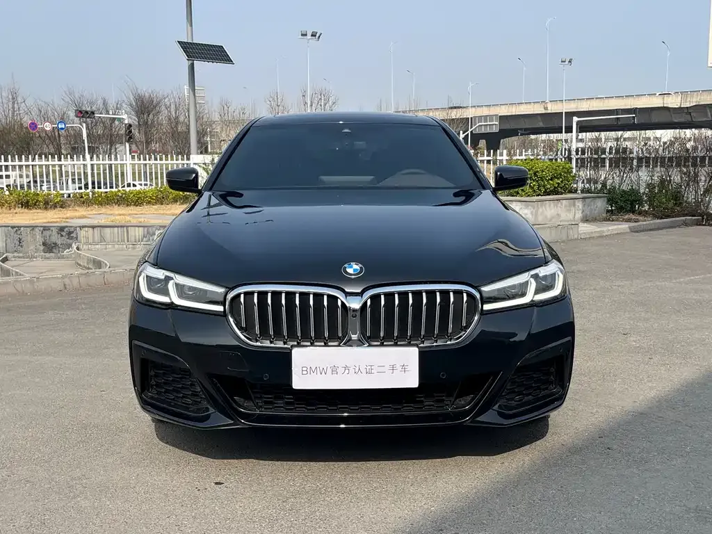 BMW 5 Series 2023 из CN, фото 5