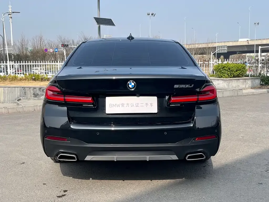 BMW 5 Series 2023 из CN, фото 6