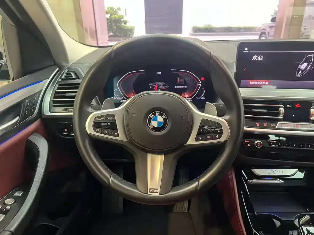 BMW X4 2025 из CN, фото 3