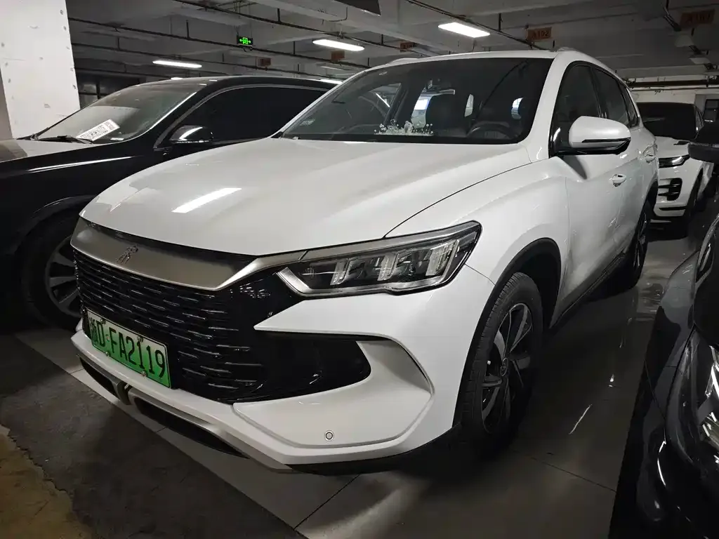 BYD Pro New Energy — фото 1