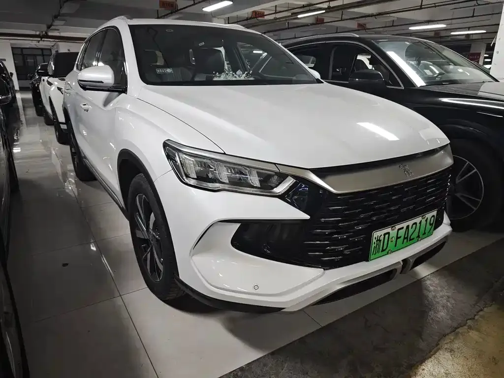 BYD Pro New Energy — фото 4